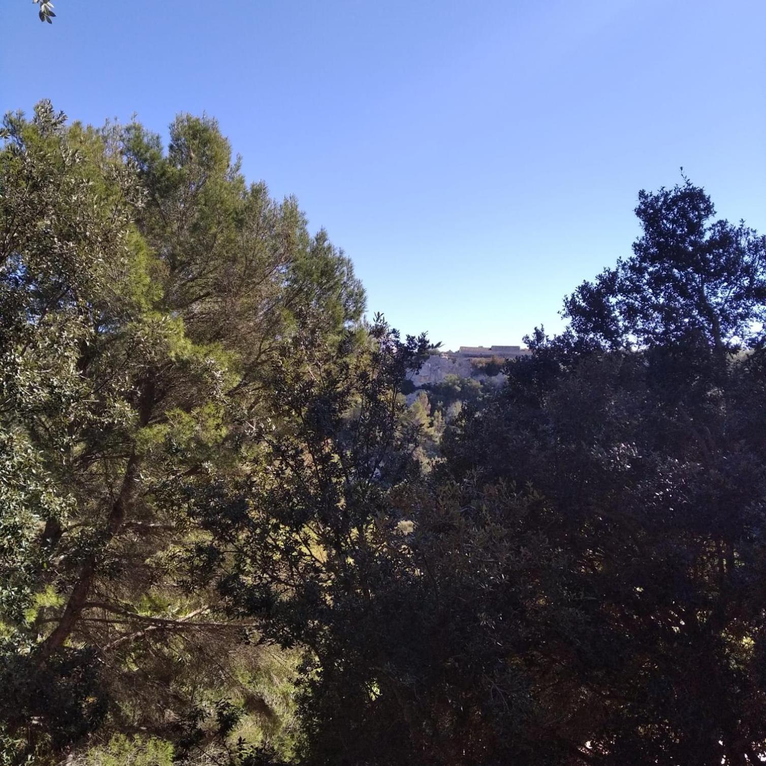 Es Niuet Διαμέρισμα Cala Galdana  Εξωτερικό φωτογραφία